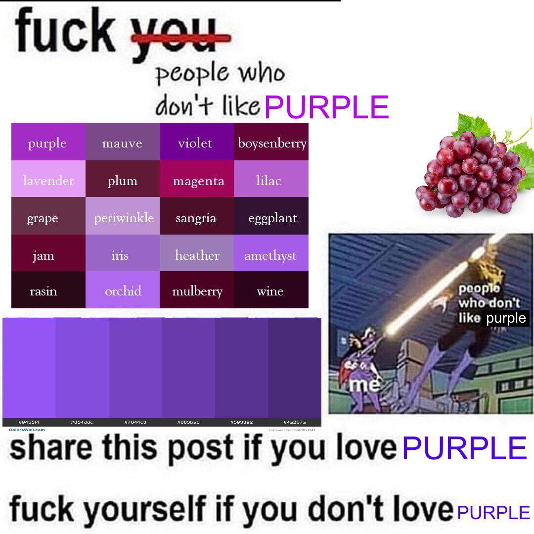 people who don'+ like PURPLE purple mauve violet boysenberry plum magenta lilac 4 grape sangria eggplant jam iris heather amethyst a rasin orchid mulberry wine и whordon't like purple share this post 