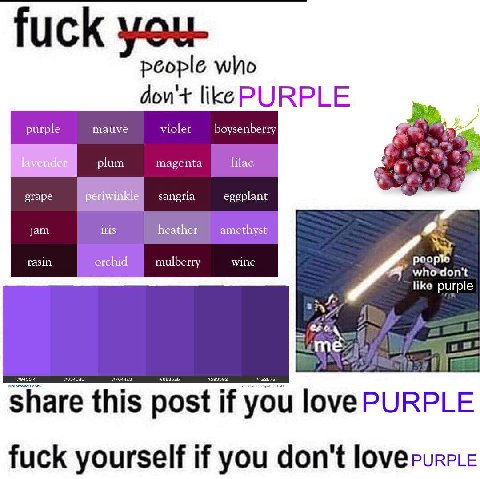 people who don'+ like PURPLE purple mauve violet boysenberry plum magenta lilac 4 grape sangria eggplant jam iris heather amethyst a rasin orchid mulberry wine и whordon't like purple share this post 