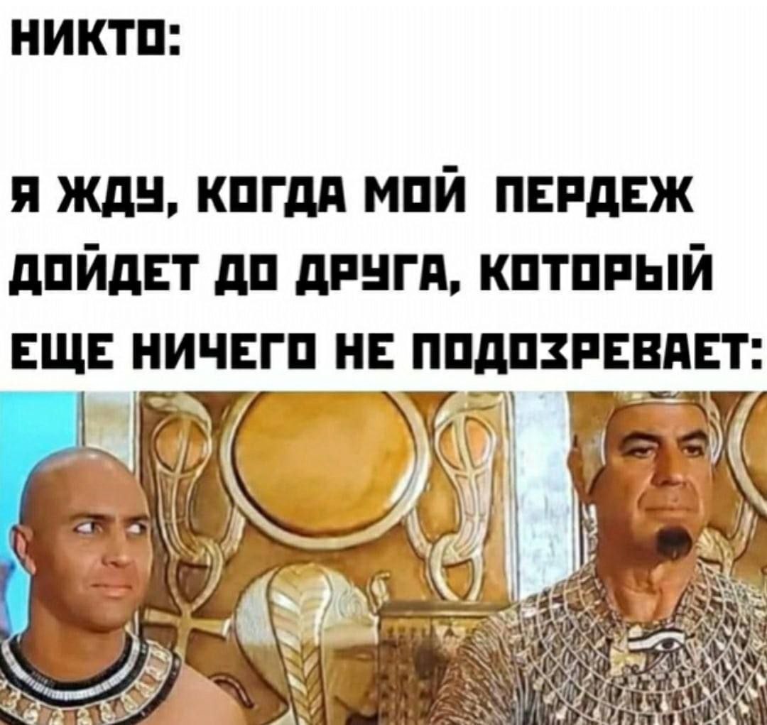 НИКТО: Я ЖДУ, КОГДА МОЙ ПЕРДЕЖ ДОЙДЕТ ДО ДРУГА, КОТОРЫЙ ЕЩЕ НИЧЕГО НЕ ПОДОЗРЕВАЕТ: ANY