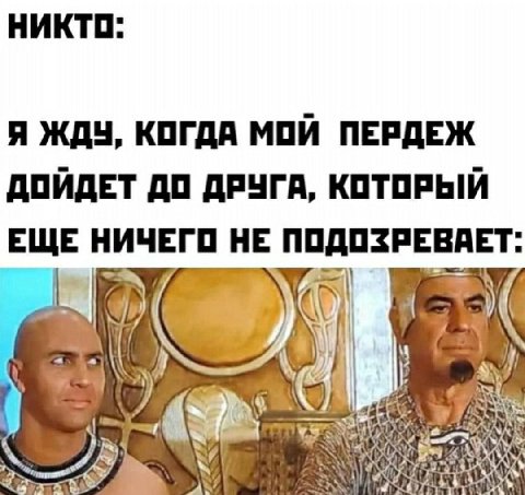 НИКТО: Я ЖДУ, КОГДА МОЙ ПЕРДЕЖ ДОЙДЕТ ДО ДРУГА, КОТОРЫЙ ЕЩЕ НИЧЕГО НЕ ПОДОЗРЕВАЕТ: ANY