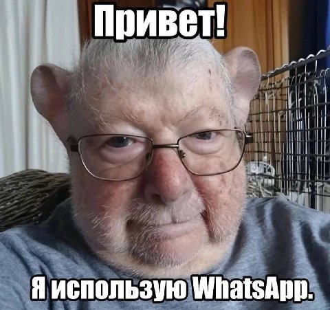 Привет! 4 Я использую WhatsApn: