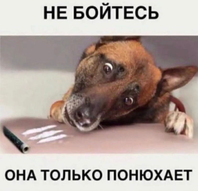мой ор с утра начался с этого