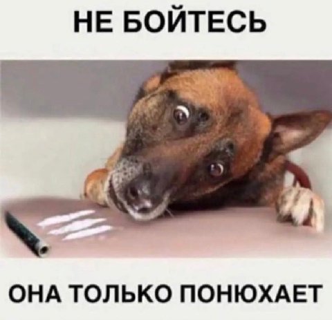 мой ор с утра начался с этого