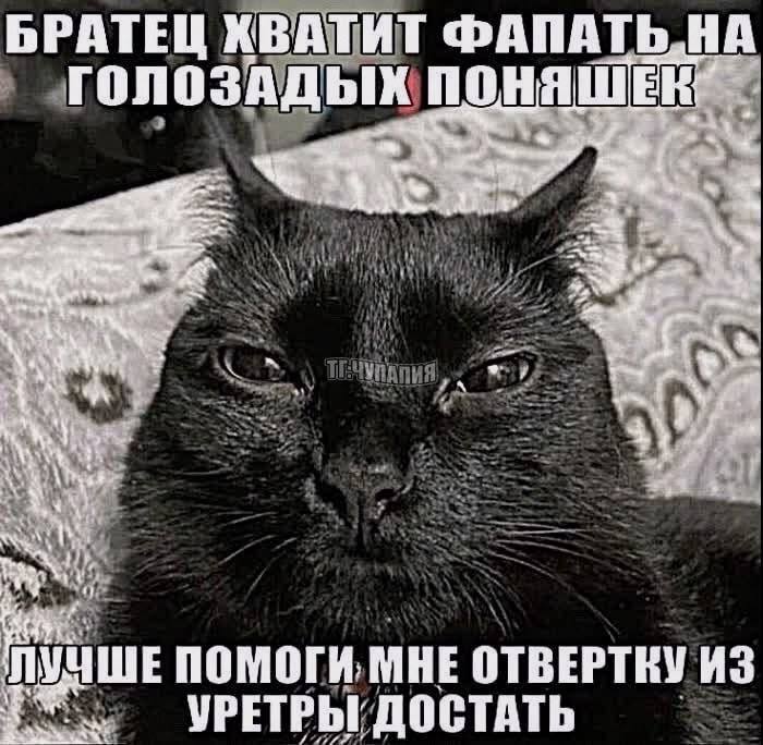 БРАТЕЦ КВАТИТ ФАПАТЬ НА 4 1 a УЧШЕПОМОГИ МНЕ ОТВЕРТКУ ИЗ УРЕТРЫ ДОСТАТЬ