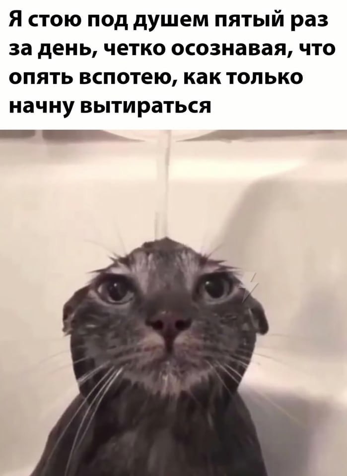 Я стою под душем пятый раз за день, четко осознавая, что опять вспотею, как только начну вытираться