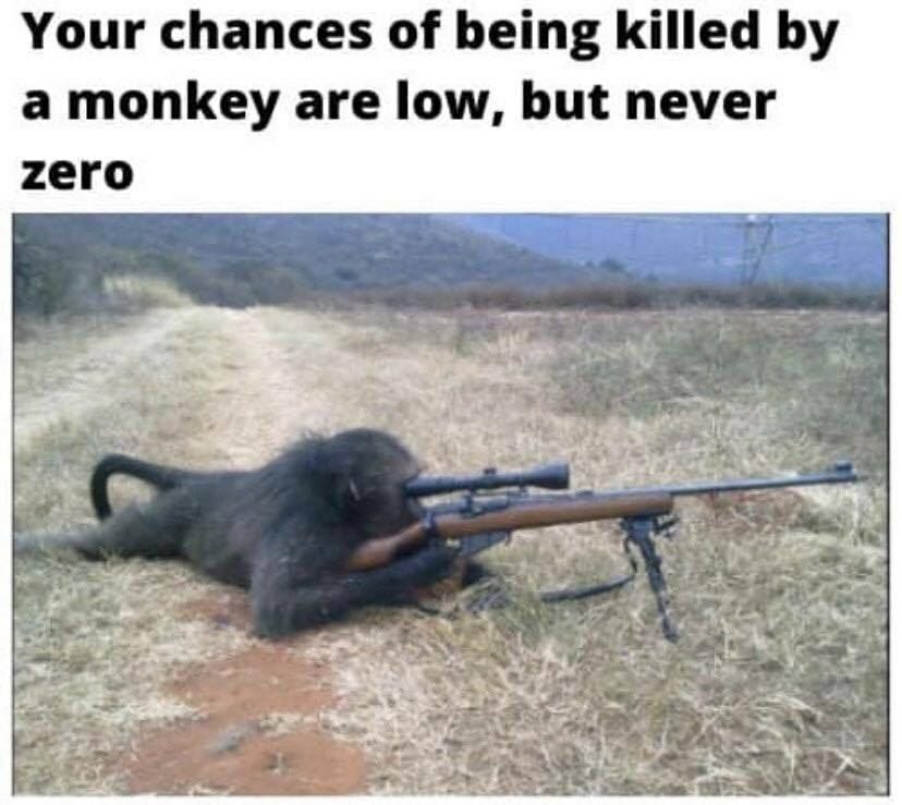 Your chances of being killed a monkey are low, but never zero 2%, a 4 Tad) А 4
