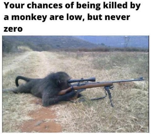 Your chances of being killed a monkey are low, but never zero 2%, a 4 Tad) А 4
