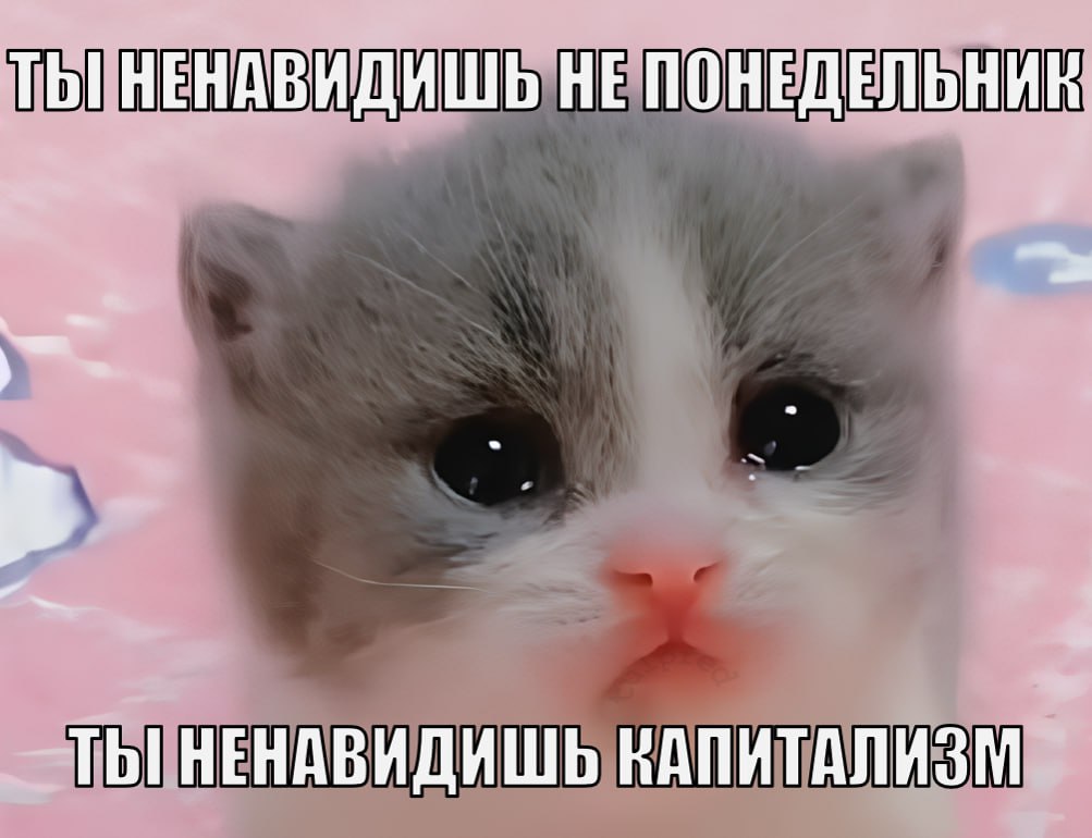 ТЫ НЕНАВИДИШЬ НЕ ПОНЕДЕЛЬНИК allt ТЫ НЕНАВИДИШЬ КАПИТАЛИЗМ