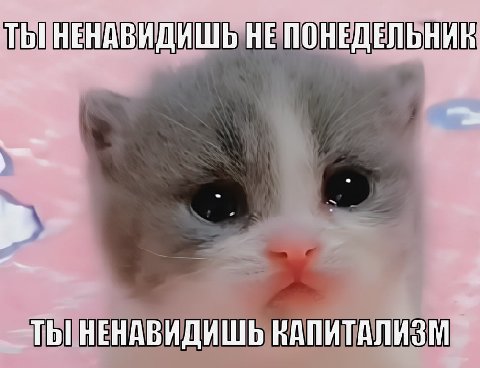 ТЫ НЕНАВИДИШЬ НЕ ПОНЕДЕЛЬНИК allt ТЫ НЕНАВИДИШЬ КАПИТАЛИЗМ