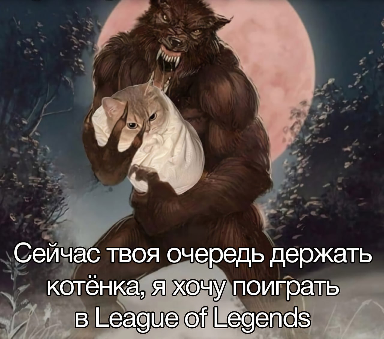 Сейчас твоя очередь держать котёнка, я хочу поиграть в League of Legends