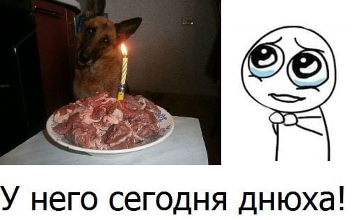 3 У него сегодня днюха!