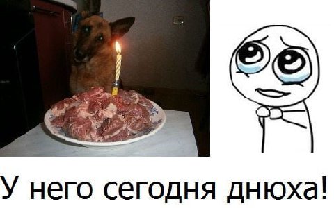 3 У него сегодня днюха!