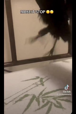 МАКЕЗТОР АЛАКЕТТЬ