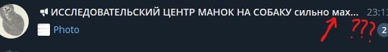 чзх мессенджер мах???????