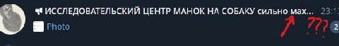 чзх мессенджер мах???????