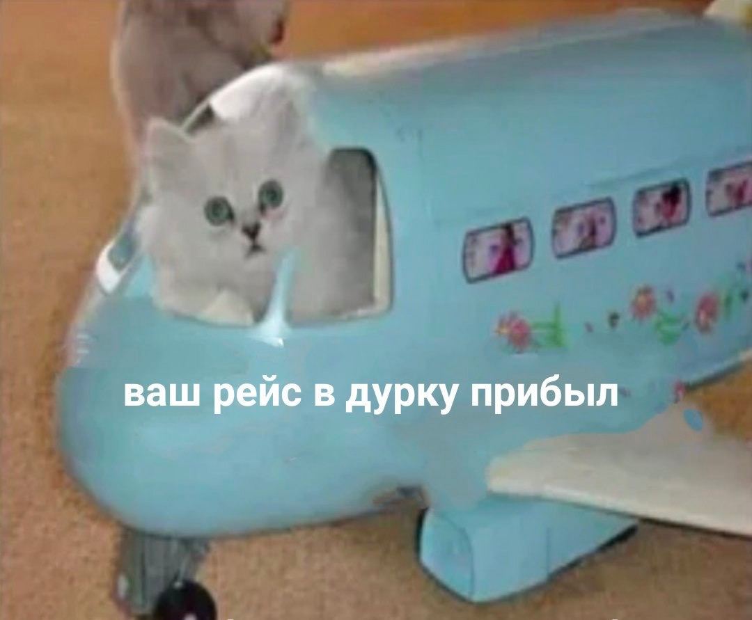 ваш рейс в дурку прибыл