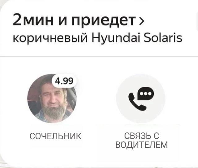 2мини приедет› коричневый Hyundai Solaris 4.99 СОЧЕЛЬНИК СВЯЗЬ С ВОДИТЕЛЕМ