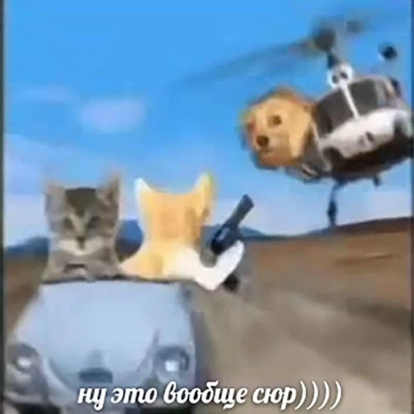 fay amo вообще сюр))))