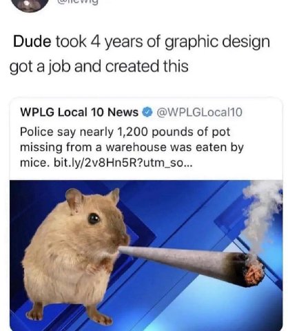 Dude took 4 years of graphic design got a job and created this WPLG Local 10 News @WPLGLocal10 Police say nearly 1,200 pounds of pot missing from a warehouse was eaten mice. bit.ly/2v8Hn5R?utm_so... 4