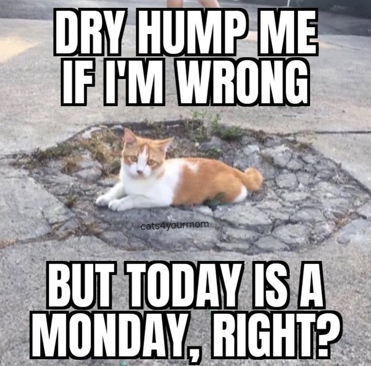WRONG a BUT TODAY IS A MONDAY, RIGHT?