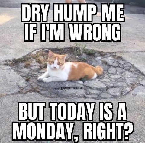 WRONG a BUT TODAY IS A MONDAY, RIGHT?