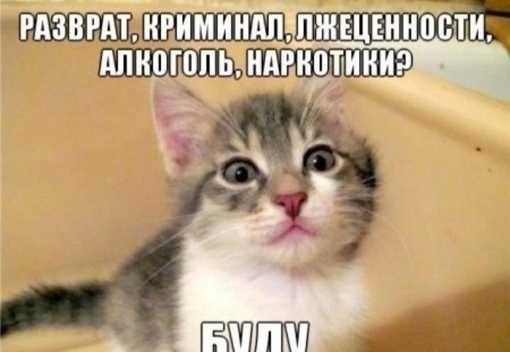 РАЗВРАТ, ЖЕЦЕННОСТИ, АЛКОГОЛЬ,