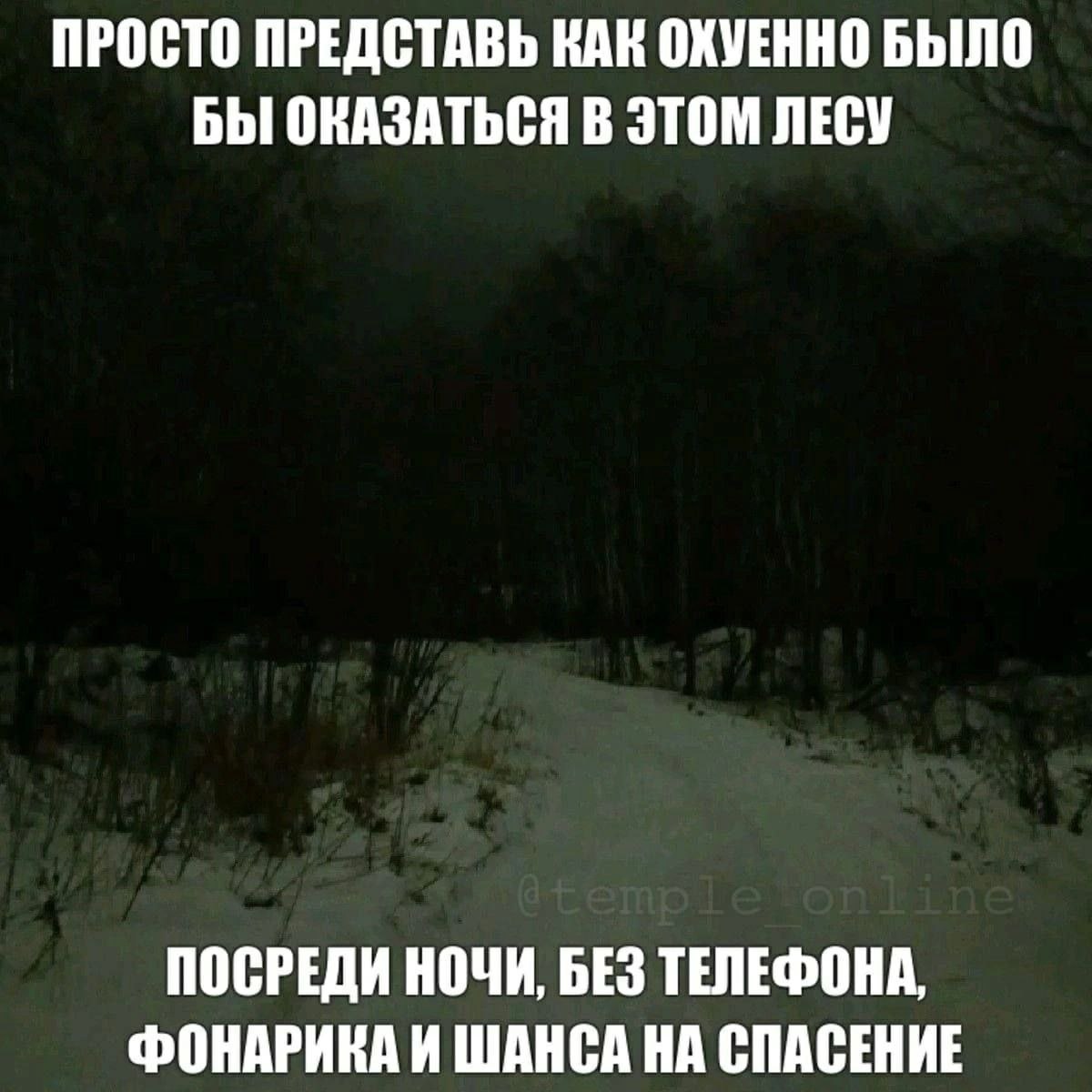 ПРОСТО ПРЕДСТАВЬ КАК ОХУЕННО БЫЛО БЫ ОКАЗАТЬСЯ В ЭТОМ ЛЕСУ ПОСРЕДИ НОЧИ, БЕЗ ТЕЛЕФОНА, ФОНАРИКА И ШАНСА НА СПАСЕНИЕ