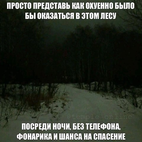 ПРОСТО ПРЕДСТАВЬ КАК ОХУЕННО БЫЛО БЫ ОКАЗАТЬСЯ В ЭТОМ ЛЕСУ ПОСРЕДИ НОЧИ, БЕЗ ТЕЛЕФОНА, ФОНАРИКА И ШАНСА НА СПАСЕНИЕ