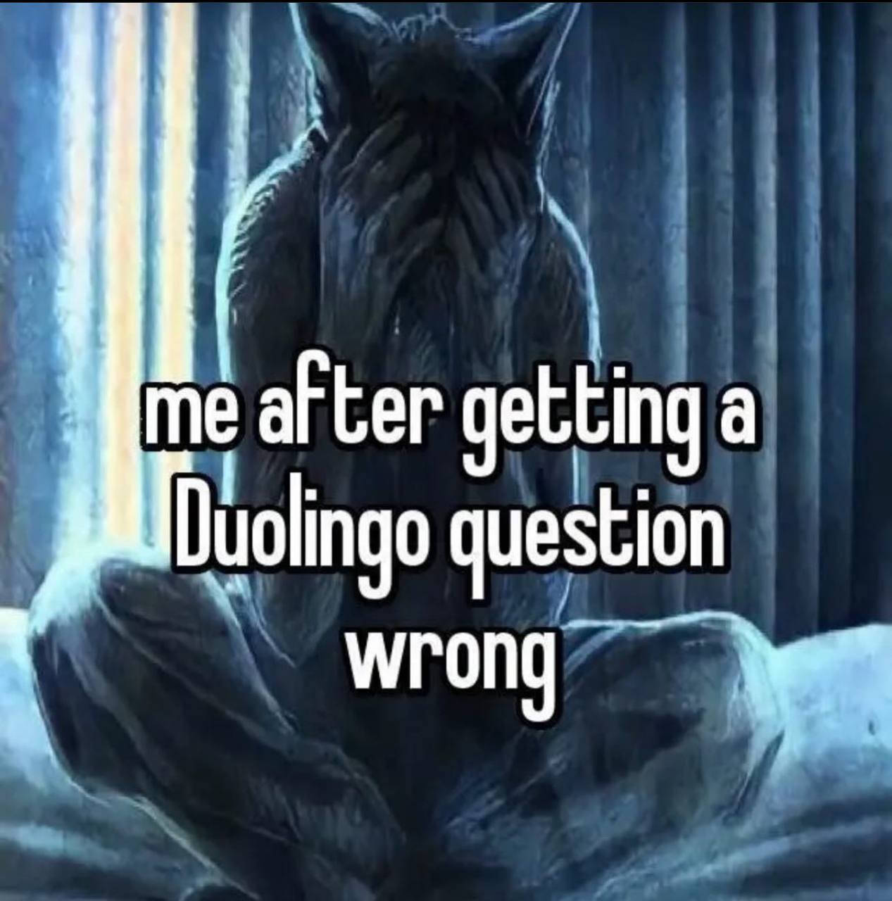 after getting a Duolingo question