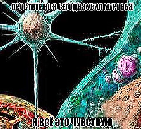 СЕГОДНЯ БИЛ МУРОВ 4; iF 4a" it да. 134