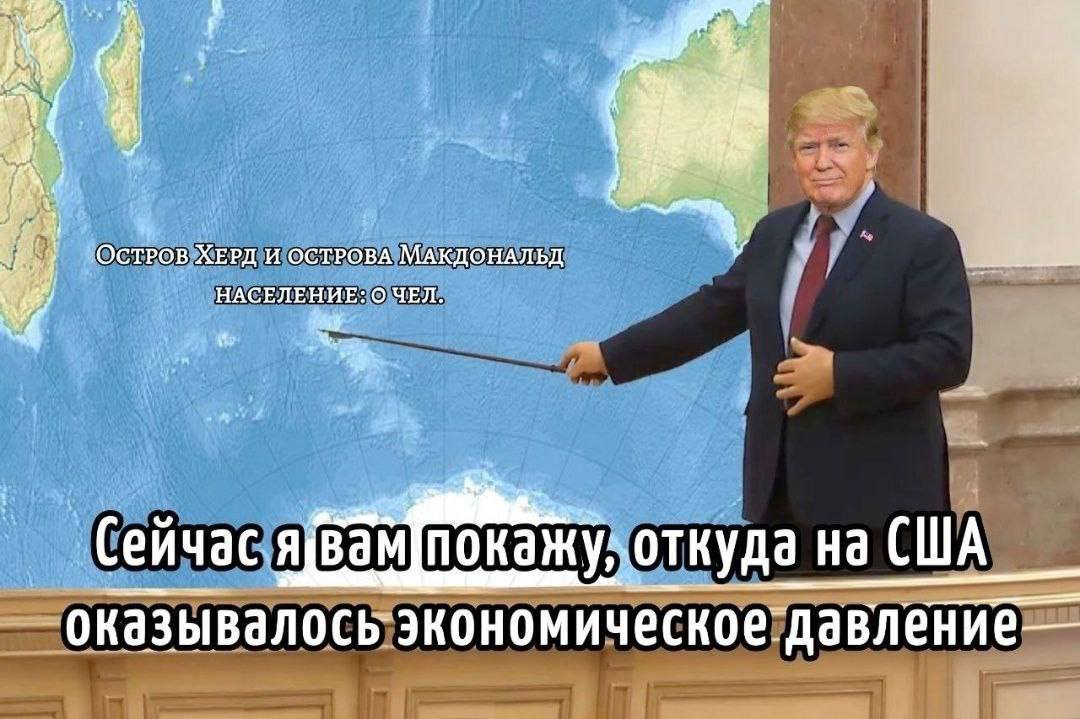 🐧