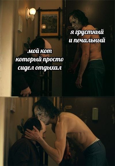 ягрустный и печальный мой кот который просто сидел