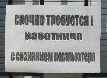 павотница