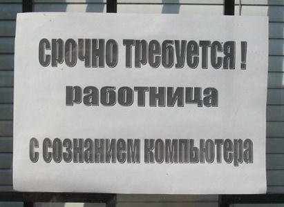 павотница