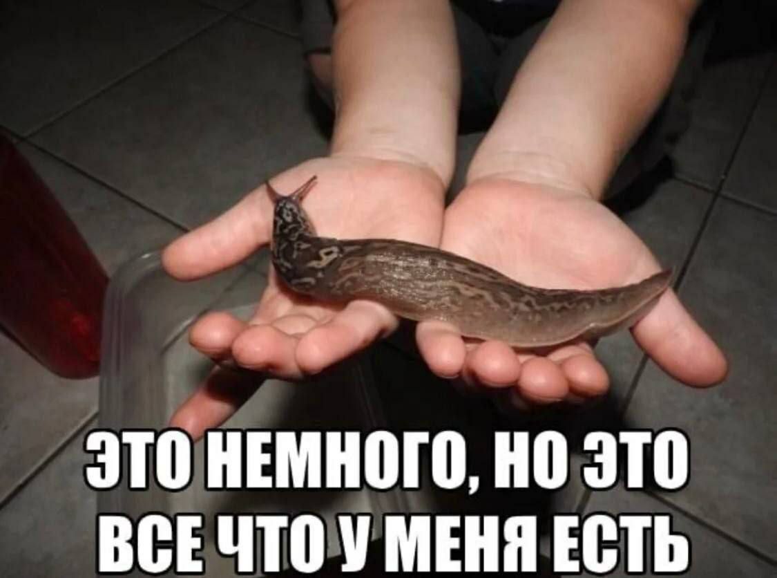ЭТО НЕМНОГО, ЭТО ВСЕЧТОУ МЕНЯ ЕСТЬ