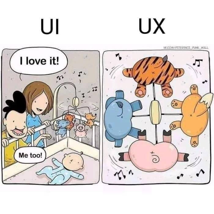 (6