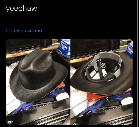 yeeehaw Перевести твит
