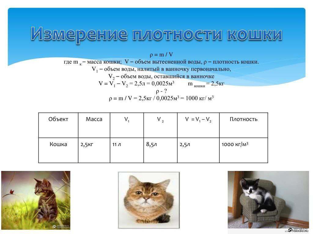 Измерение плотности кошки где масса кошки; У объем вытесненной воды, плотность кошки. У, объем воды, налитый в ванночку первоначально У, объем воды, оставшийся в -У, 2 p=m/V= 1000 А a