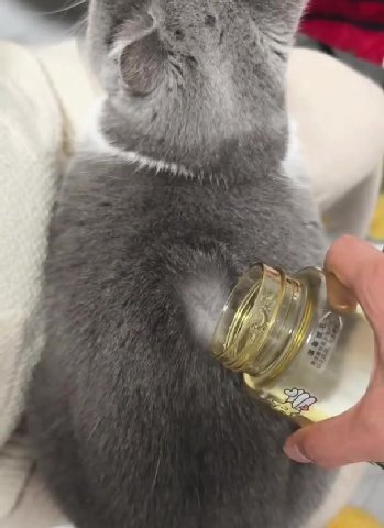мем