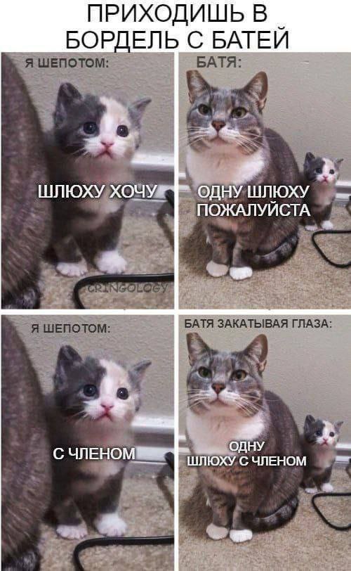 ПРИХОДИШЬ В БОРДЕЛЬ С БАТЕЙ Я ШЕПОТОМ: БАТЯ: ШЛЮХУ ХОЧУ a ШЛЮХУ NGOLO Я ШЕПОТОМ: ЗАКАТЫВАЯ ГЛАЗА: #4 С ЧЛЕНО On ОХУ С ЧЛЕНОМ a
