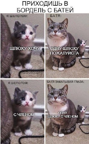 ПРИХОДИШЬ В БОРДЕЛЬ С БАТЕЙ Я ШЕПОТОМ: БАТЯ: ШЛЮХУ ХОЧУ a ШЛЮХУ NGOLO Я ШЕПОТОМ: ЗАКАТЫВАЯ ГЛАЗА: #4 С ЧЛЕНО On ОХУ С ЧЛЕНОМ a