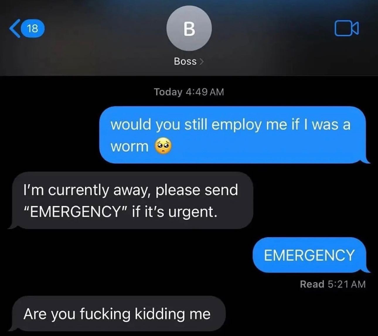 18 В Boss would you still employ me if was a worm currently away, please send “ЕМЕВСЕМСУ" if it's urgent. EMERGENCY Are you fucking kidding me