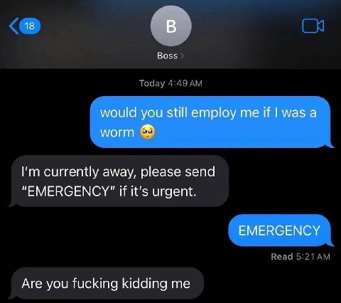 18 В Boss would you still employ me if was a worm currently away, please send “ЕМЕВСЕМСУ" if it's urgent. EMERGENCY Are you fucking kidding me