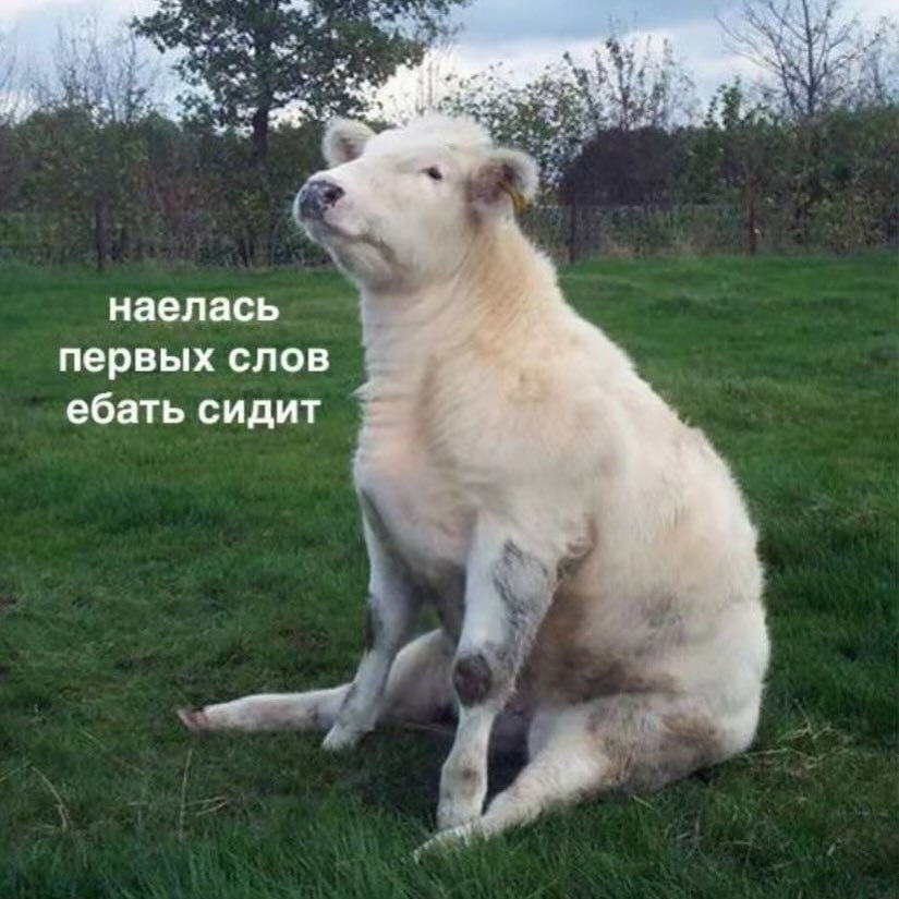 наелась первых слов ебать сидит