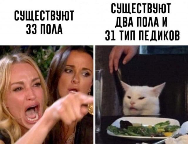 СУЩЕСТВУЮТ СУЩЕСТВУЮТ ПОЛА И 33 ПОЛА 31 THM ПЕДИКОВ 77