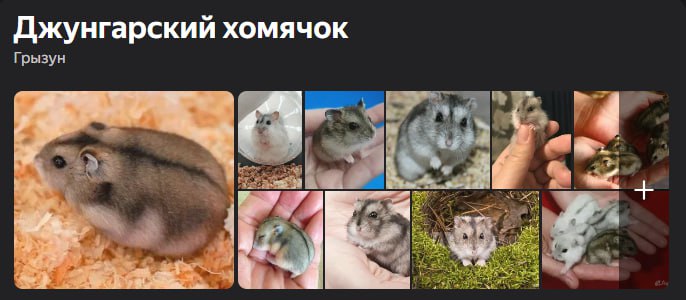 казахи такие бляяя ненавижу эту хуйню