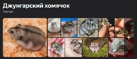 казахи такие бляяя ненавижу эту хуйню