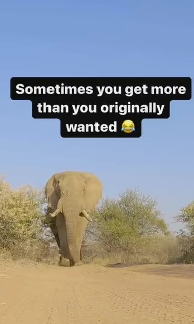 Sometimes you get more than you originally wanted