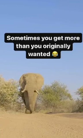 Sometimes you get more than you originally wanted