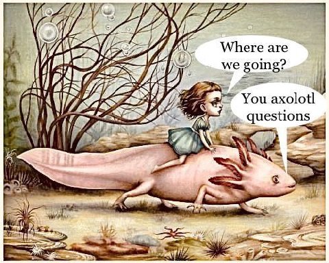 Where are we going? You questi ons К 528